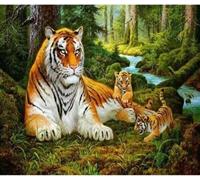 40x30 Diamants Peinture à faire soi-même DIY Diamond Painting Tiger