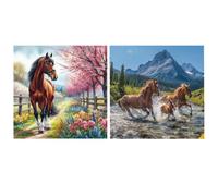 40x40cm Horse 5d DIY Kit de peinture en diamant rond complet DIY FORT