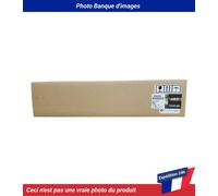 40X6788 Lexmark C935 Développeur Noir