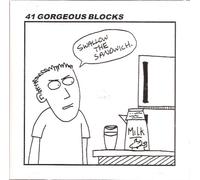 41 Gorgeous Blocks - Swallow the Sandwich