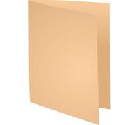 [410002E] Exacompta Paquet de 100 chemises Foldyne 250 Bulle