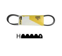 41009626. COURROIE 1145 H5 MAEL CANDY