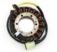420296520 420295172 Bobine Stator Moteur Magnéto pour Can-Am DS650 2000-2007 Accessoires Moto Bobine d'allumage