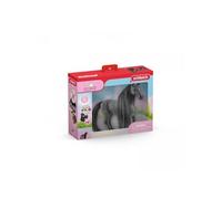 42581 Jument criollo a coiffer sofias beauties