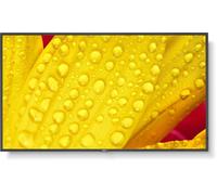 NEC MultiSync M431-2 - Classe de diagonale 43" (42.5" visualisable) - M Series écran LCD rétro-éclairé par LED - signalisation numérique - avec lecteur multimédia intégré / capacité PC à insertion opt