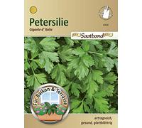 43930 Gigante Italia Ruban de graines de persil pour balcon et terrasse à feuilles lisses