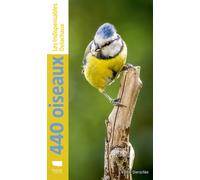 440 oiseaux Les indispensables Delachaux - Volker Dierschke - Delachaux et niestlé - broché - Monographie