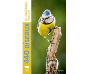 440 oiseaux Les indispensables Delachaux - Volker Dierschke - Delachaux et niestlé - broché - Monographie