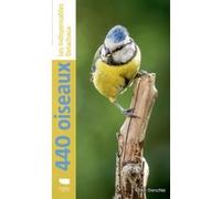 440 oiseaux Volker Dierschke (Auteur)