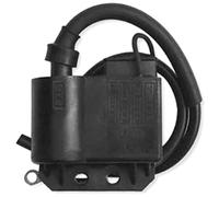 44263-Bobine d''allumage DZE pour un compatible avec RIEJU RS-2 50