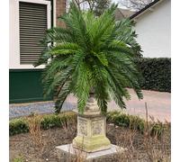 45 cm Arbre de palmier artificiel à 18 feuilles, fausses feuilles de palmier à sagou, feuillage tropical, arbre de cycas en plastique, convient pour la décoration intérieure et extérieure de la maison