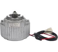 450 W 24 V Metal Transmission Brosse électrique DC Moteur -Accessoires pour vélo -DIY