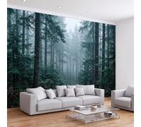 450 x 280 cm Papier Peint Murale Panoramique Paysage Brumeux Forêt | Plantes Conifères Papier peint photo non tissé - Revêtement Mural Décoration Salon Pour chambre à coucher - Effet 3D