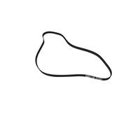 45189-22 45189-5 Courroie d'entraînement principale compatible avec les imprimantes d'étiquettes Zebra 105SL 105SE 110Xi3 140Xi3 220Xi3 170Xi3 203dpi 300dpi