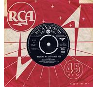 45N1489 7"-45 giri" Walking My Cat Named Dog / Let Me Be VINYL