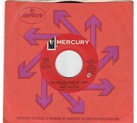 45vinylrecord You Walked Into My Life/Why Did I Lose You (7"/45 rpm)
