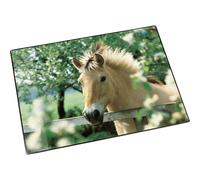 [46640] Läufer Sous mains Poster 400 x 530 mm Cheval devant la cloture