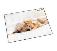 [46657] Läufer Sous-main Chien et chat, 400 x 530 mm