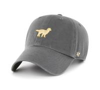 Casquette de baseball grise Golden Retriever 196002931425