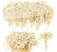 4700+ Mini Dried Babys Breath Flowers, 90+Pcs Ivory White Baby Breath Flower Bulk, Dried Flowers for Crafts, Wedding Decor Boho Invitation, Resin Candle Making, Dry Babies Flowers, Rustic Gypsophila