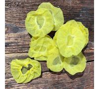 48 filets presse-citron Chevalier diffusion