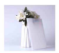 48 Panneaux de toiture en Polycarbonate Double paroi pour serres, pour Usage extérieur et toitures de Supports à Plantes (Couleur 8, 50 x 50 cm - 4 mm)