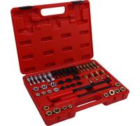 48 Piece Thread Chaser Set Metric and SAE Sizes 22 Taps 24 Dies 2 Thread Files Universal Rethreading Tool Kit
