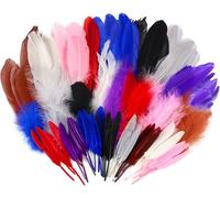 480pcs Plumes Naturelles Colorées Loisirs Creatifs 6 Styles Decoration 8 Couleurs 6cm À 20cm Pour Fête Centres De Mariage D'anniversaire Artisanat Attrape Rêves Ruban