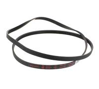 481235818056 Courroie poly V élastique type1250 J5 MAEL ou 1250J5MAEL