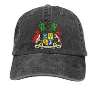 494 Casquette de baseball avec blason de l'île Maurice Version originale Casquette de Baseball Décontractée Casquette de Baseball Rétro Casquette de Baseball pour Adolescents, Voyages, Femmes,
