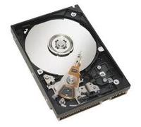 49Y1876 - IBM HDD 1TB 7.2K SAS NL LFF 6GB E-DDM 3.5''