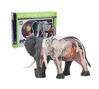4d Vision Elephant Anatomy Model, Elephant Organ Model, Pièces De Collection De Qualité Médicale avec Organes Et Parties du Corps Entièrement Amovibles