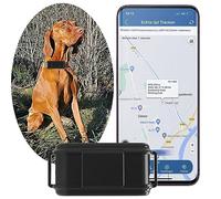 4G Collier GPS pour Chien avec Alarme Sonore et Lumineuse Statistiques Podomètre et Conversation Bidirectionnelle Étanche Anti-Perte Traceur GPS Chien sans Abonnement pour Chiens de Chasse -TK919PRO