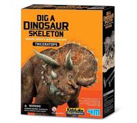 4m Coffret D´excavation De Squelette De Tricératops