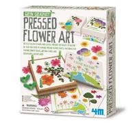 4m Créativité Verte/art De Fleurs Pressées
