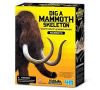 4m Kit D´excavation De Squelette De Mammouth Géologique