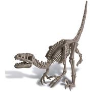 4m Kit De Fouille De Squelette De Dinosaure Vélociraptor