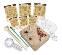 4m Kit De Laboratoire Kidzlabs/creepy Crawly Digging Kit