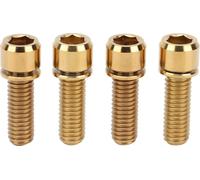 4pcs portable M6x18 Titanyloch Mountain Bicycle Bike tronc vis haute résistance