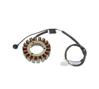 4PP-81410-00 Bobine De Stator Magnéto Moto Pour XV700 Pour XV750 Pour XV1100 Pour Virago 700 7000C 750 1100 1TA-81410-20 1RM-81410-20 Moto Allumage Bobine
