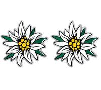 4R Quattroerre.it 14170 Autocollant 3D Edelweiss HQ, 54 x 53 mm, Blanc. (Lot de 2)