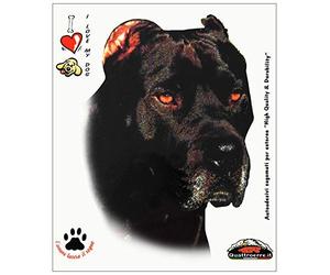 4R Quattroerre.it 8013 Adhésif Cane Corso, 14 x 16 cm