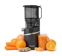 4SWISS Centrifugeuse Extracteur de Jus de Fruits et Légumes de 135 mm, Masticating Juicer Machine 0,5L, Extracteur Jus à 37 tr/min pour la Conservation des Nutriments, Facile à Nettoyer (WB025)