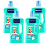 4x 1 Litre Meister Proper Nettoyant Universel Eveil Du Pintemps Produits de 1,0L