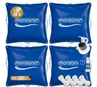 4x Coussin Hivernage Piscine XL Monzana PVC -20°C Double Couture 4 Œillets