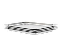 4x Récipients Gastronorm GN 1/1 20mm Inox Plateau à Aliments Restaurant vidaXL