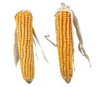 4x Trixie Épis de maïs avec feuille de Liesch 8 pièces/4 x 250 g