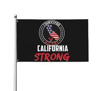 4x6 J'ai survécu à l'ouragan Hilary Drapeau Bannière Priez pour la Californie Drapeau fort pour l'extérieur Ouragan Hilary Survivor Flag Sign God Bless California Flag with Metal Eyelets No Flagstand