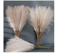5/10/20 pièces moelleux Pampas herbe Boho décor fleur artificielle fausse plante roseau simulé fête mariage décoration de la maison 42CM YZ6-11