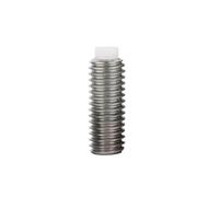 5/10 Pièces M6 M8 304 Douille Hexagonale En Acier Inoxydable Plastique Nylon Chien Pointe Convexe Grub Boulon Vis De Réglage(20mm,M6-10pcs)